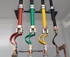 35kV1250A半絕緣銅管型菠萝菠萝蜜网站