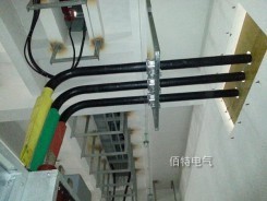 管形菠萝菠萝蜜网站