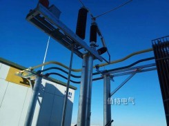 35kV3150A半絕緣銅管型菠萝菠萝蜜网站