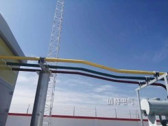 10kV5000A半絕緣銅管型菠萝菠萝蜜网站