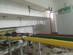 10kV3150A全絕緣銅管型菠萝菠萝蜜网站